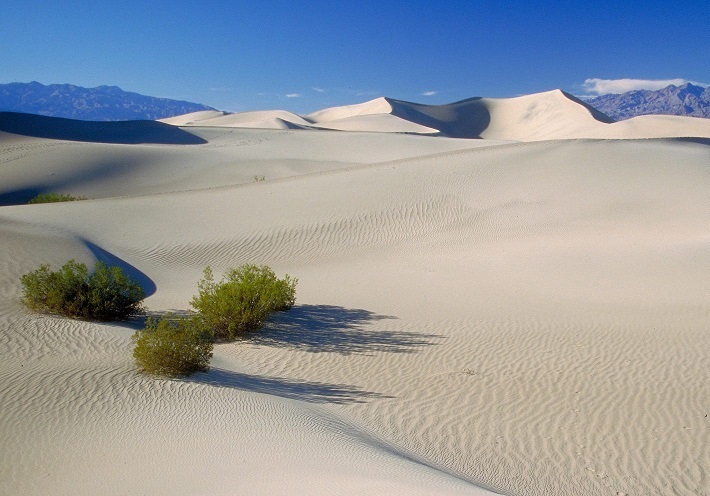 khám phá, trải nghiệm, lướt trên sa mạc với đồi cát bay mũi né
