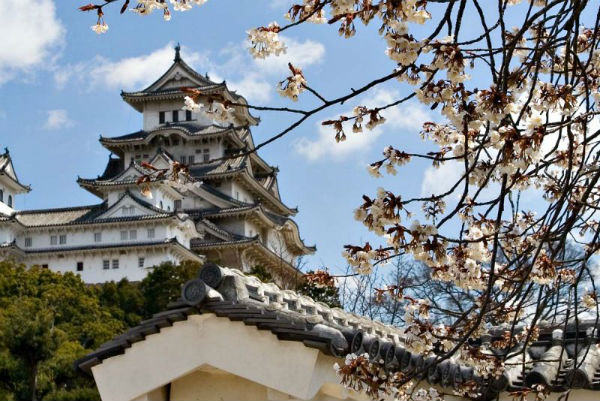 khám phá, trải nghiệm, lâu đài himeji kiến trúc cổ nhất còn sót lại ở nhật bản