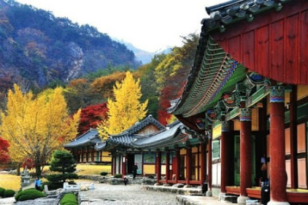 khám phá, trải nghiệm, chùa yagasa ở daegu yên bình tọa lạc giữa thung lũng