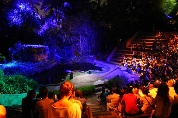 khám phá, trải nghiệm, vườn thú đêm night safari ở singapore