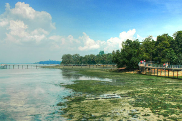 khám phá, trải nghiệm, vẻ đẹp hoang sơ của đảo check jawa ở singapore