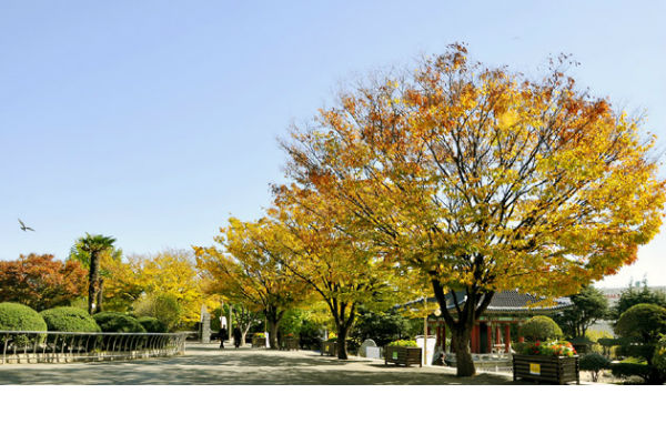 khám phá, trải nghiệm, công viên yongdusan ở busan