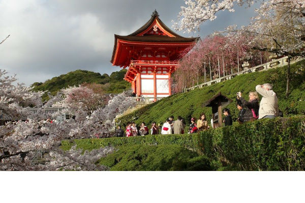 khám phá, trải nghiệm, những ngôi chùa nổi tiếng ở fukuoka