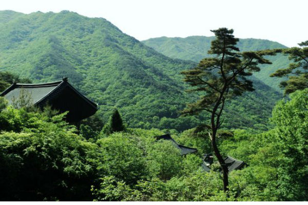 Ngọn núi Jirisan đẹp nhất Hàn Quốc