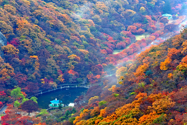 Bức tranh mùa thu Rừng quốc gia Seoraksan