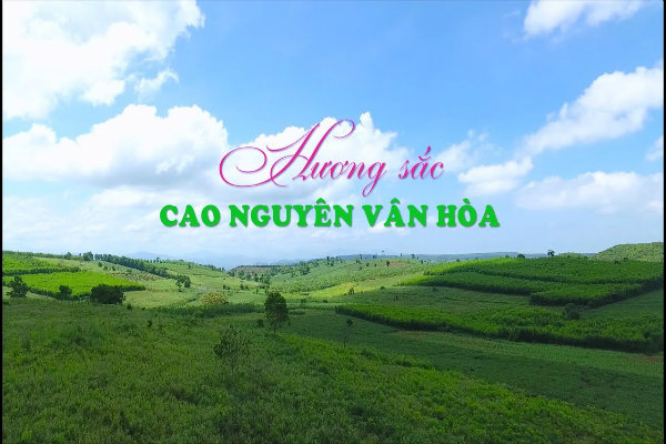 Ghé cao nguyên Vân Hòa để cảm nhận thiên nhiên tuyệt vời của Phú Yên