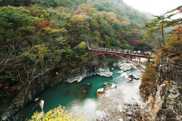 khám phá, trải nghiệm, khu nghỉ kinugawa onsen thu hút hàng triệu du khách mỗi năm.