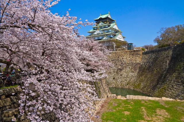 15 địa điểm ngắm hoa anh đào ở Osaka: Từ những địa điểm nổi tiếng cho đến những nơi ít được biết đến