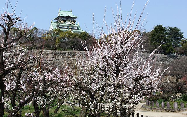 Ghé thăm 8 địa điểm ngắm hoa mơ ở Kansai để cảm nhận không khí mùa xuân đang đến