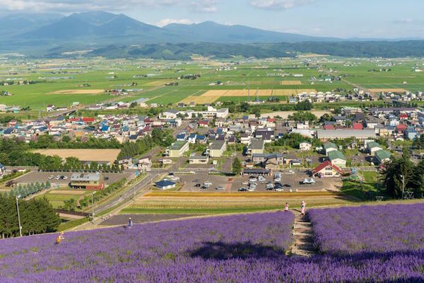 nông trại, hokkaido, cánh đồng hoa oải hương furano, điểm ngắm cảnh, các hoạt động ngoài trời, đền và điện thờ, điểm du lịch, tuyển chọn 20 địa điểm du lịch tại furano, hokkaido