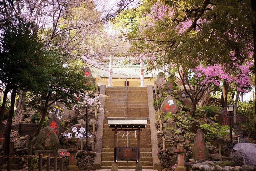 , đền và điện thờ, bảo tàng, điểm du lịch, khám phá 20 địa điểm thú vị ở yanesen - góc phố nhỏ cổ kính giữa lòng tokyo