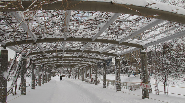 , chuyến đi trong ngày, 20 địa điểm tuyệt vời để trải nghiệm những môn thể thao mùa đông ở hokkaido