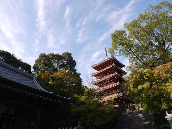 , khác, di sản thế giới, điểm ngắm cảnh, bảo tàng, thủy cung, sở thú, công viên giải trí, các hoạt động ngoài trời, đền và điện thờ, điểm du lịch, 10 danh thắng nhất định phải ghé thăm khi đến kochi, shikoku
