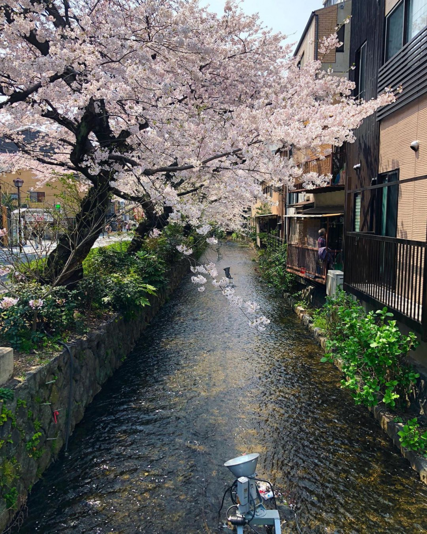 , điểm du lịch, nhật bản, 20 địa điểm tuyệt vời để trải nghiệm nét duyên dáng của kyoto ở khu vực karasuma