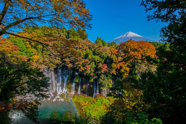 shizuoka, suối nước nóng, điểm ngắm cảnh, bảo tàng, thủy cung, sở thú, công viên giải trí, đền và điện thờ, onsen (suối nước nóng), điểm du lịch, nhật bản, 7 điểm tham quan nổi tiếng khi đến thăm quê hương núi phú sĩ - tỉnh shizuoka