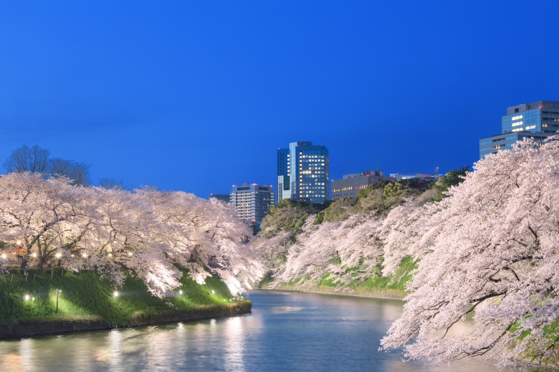 , ngắm cảnh, nhật bản, kanto - nơi có thủ đô tokyo của nhật bản là khu vực như thế nào?