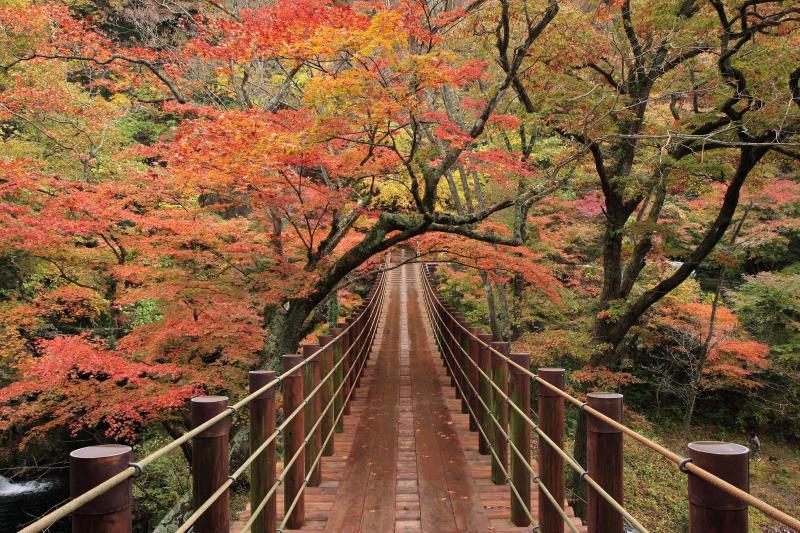 okuhitachi kirara no sato, irohazaka, tochigi, hitachi, ibaraki, điểm ngắm cảnh, các hoạt động ngoài trời, phong cảnh thiên nhiên, nhật bản, tận hưởng thiên nhiên tuyệt vời ngay gần thủ đô tokyo - 8 địa điểm đáng khám phá ở togichi và ibaraki
