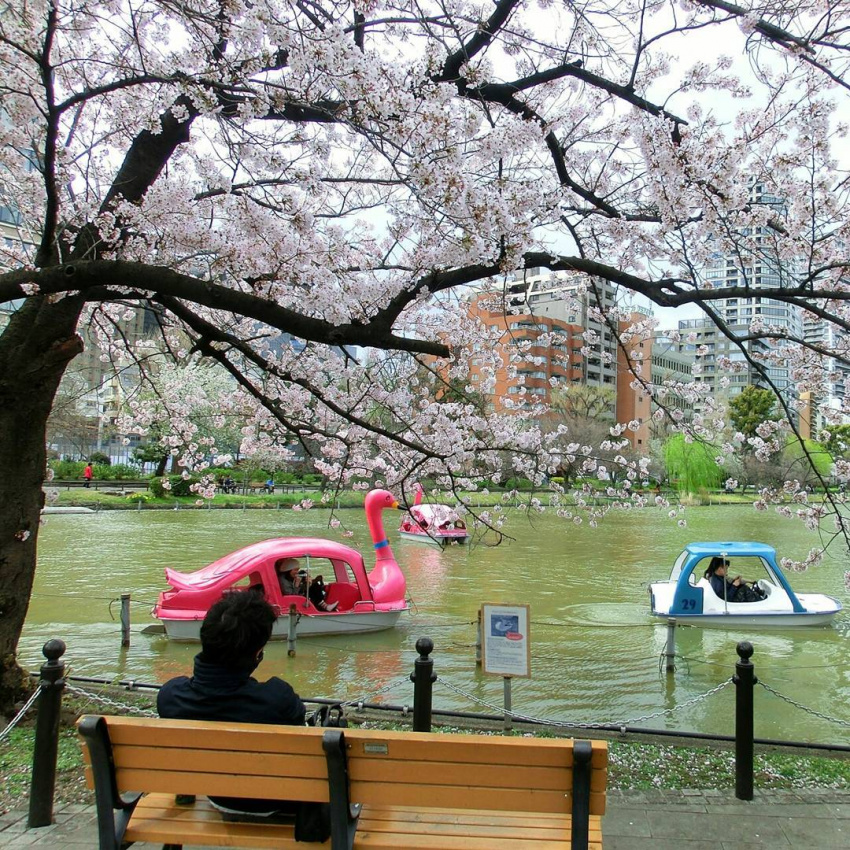 , điểm ngắm cảnh, điểm chụp hình check-in, nhật bản, 10 địa điểm chụp ảnh tuyệt đẹp ở ueno