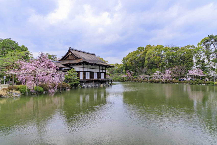 du lịch kyoto vào mùa xuân, ngắm hoa anh đào ở nhật bản, điểm ngắm hoa anh đào ở kyoto, nhật bản, ngắm trọn vẹn tất cả những điểm hoa anh đào nở đẹp nhất kyoto dọc theo các tuyến tàu
