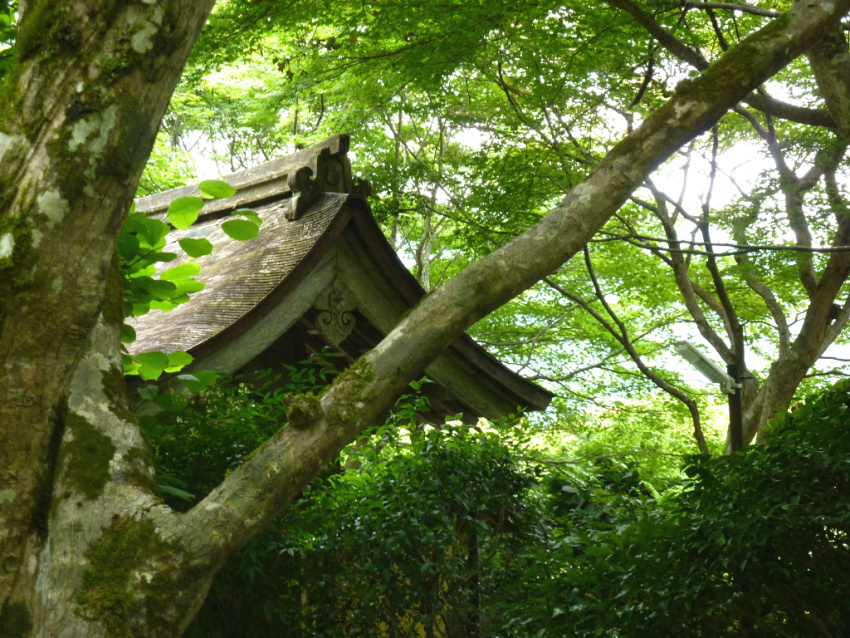 kyoto, kamogawa, khác, đền và điện thờ, điểm du lịch, nhật bản, ohara - miền quê thanh bình phía bắc kyoto