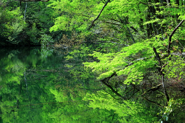 , điểm ngắm cảnh, hồ, nhật bản, 10 hồ nước và đầm lầy đẹp mê hồn bạn phải ghé qua khi đến hokkaido và tohoku