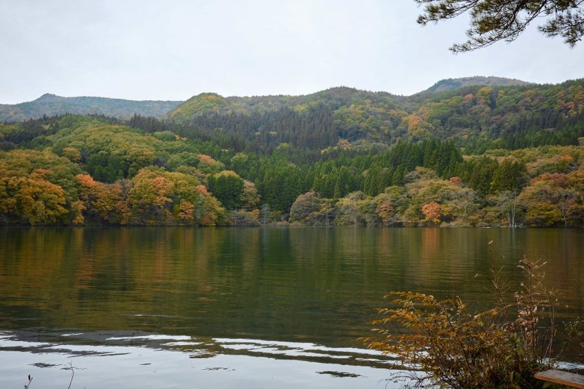 , trải nghiệm, nhật bản, 4 hoạt động trải nghiệm giúp bạn khám phá vẻ đẹp thiên nhiên của fukushima: cưỡi ngựa, câu cá, chèo ván đứng và thu hoạch nông sản