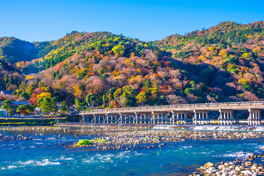 14 địa điểm tham quan không thể bỏ qua khi đến Arashiyama!