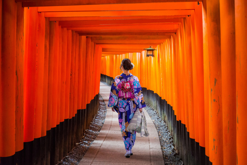 12 cổng torii độc đáo giúp bạn khám phá thế giới thần linh ở xứ Phù Tang