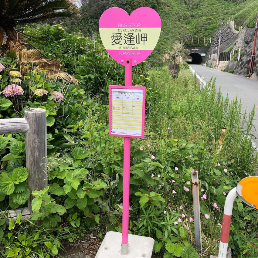 Khám phá vẻ đẹp tự nhiên của Minamiizu: Điểm thăm quan nổi tiếng, khách sạn và món ngon
