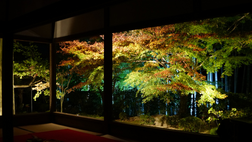 fushimi, arashiyama, gion, uji, rừng tre arashiyama, kawaramachi, ninenzaka, đền và điện thờ, các hoạt động ngoài trời, bảo tàng, điểm ngắm cảnh, di sản thế giới, điểm du lịch, nhật bản, 25 điều nhất định phải làm khi đến kyoto: khám phá arashiyama, đền thờ fushimi inari-taisha, gion và nhiều địa danh khác