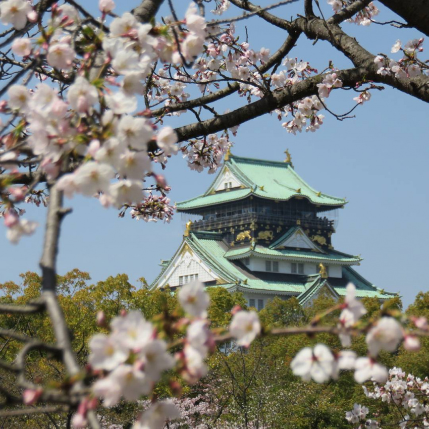7 địa điểm chụp ảnh đẹp tại Osaka - ALONGWALKER