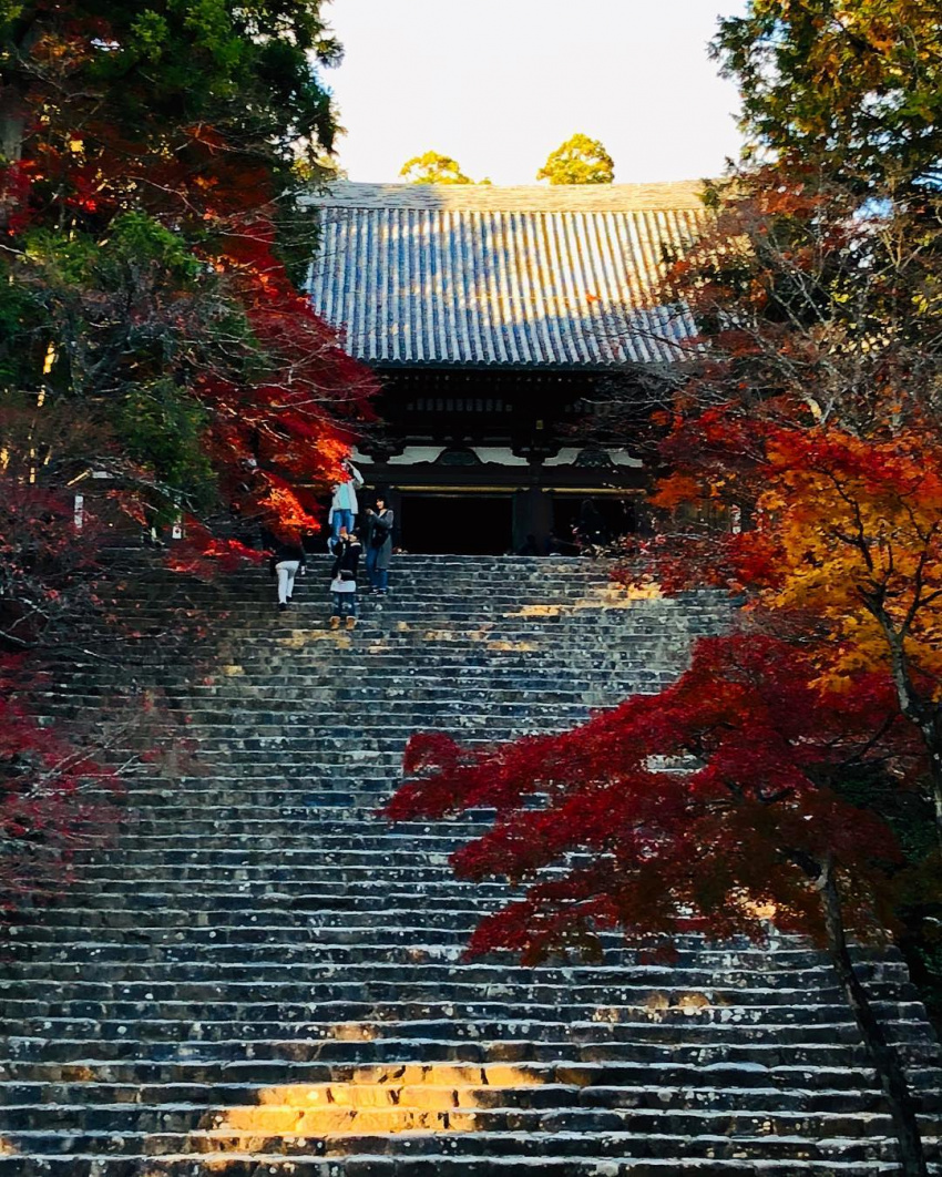 20 địa điểm tham quan ở Takao, Kyoto! Danh thắng ngắm lá đỏ ít người biết