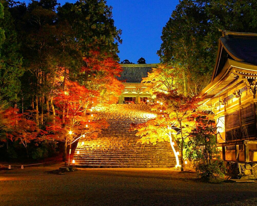 , điểm ngắm cảnh, điểm du lịch, nhật bản, 20 địa điểm tham quan ở takao, kyoto! danh thắng ngắm lá đỏ ít người biết