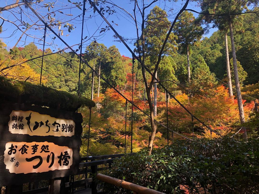 , điểm ngắm cảnh, điểm du lịch, nhật bản, 20 địa điểm tham quan ở takao, kyoto! danh thắng ngắm lá đỏ ít người biết