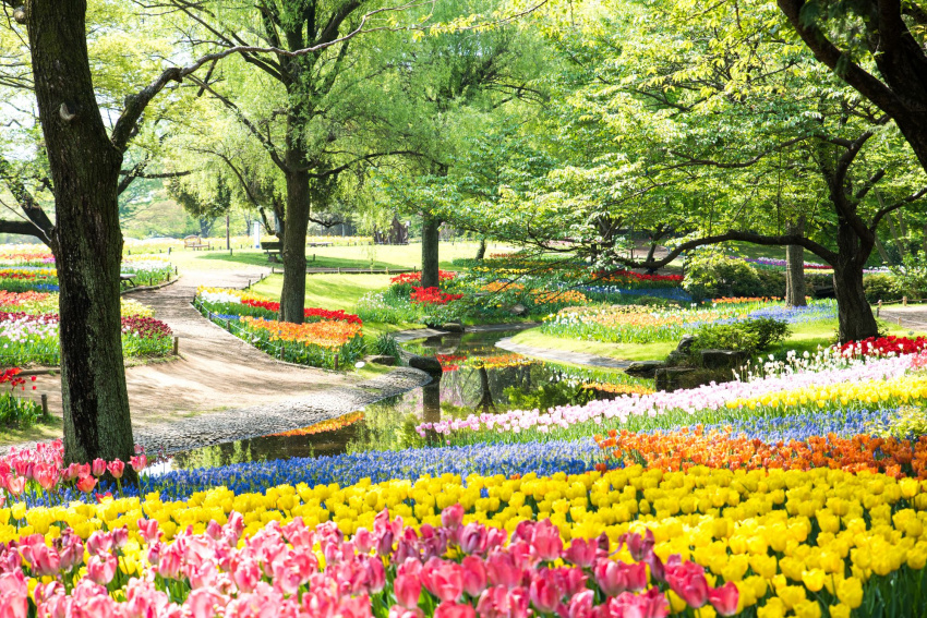 , điểm ngắm cảnh, công viên và vườn, nhật bản, 16 vườn hoa tuyệt đẹp bạn nhất định phải ghé thăm khi đến nhật bản