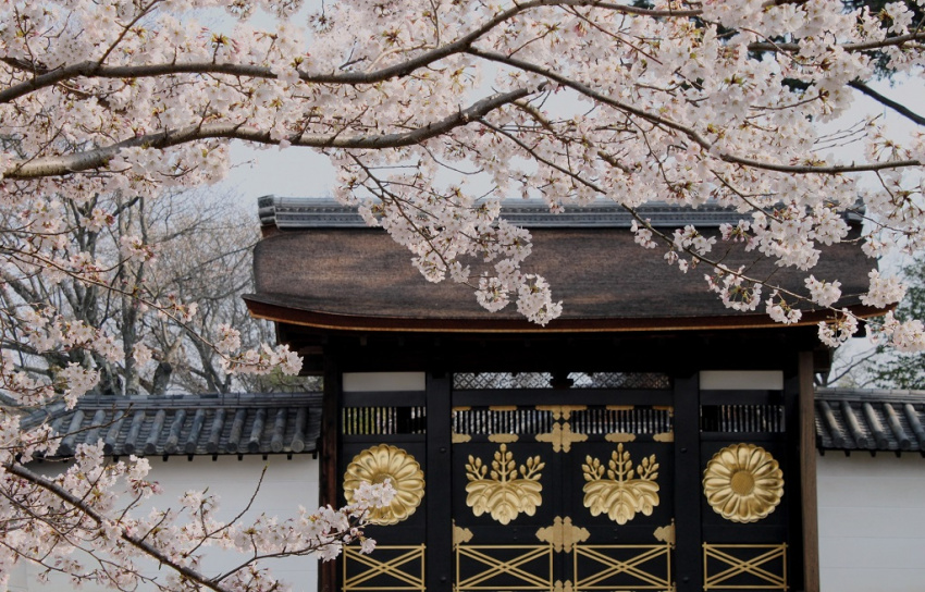 Yamashina - vùng đất phía Đông cố đô Kyoto, nơi lưu giữ những giá trị truyền thống lâu đời