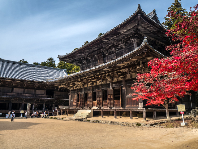 , di sản thế giới, đền và điện thờ, onsen (suối nước nóng), ngắm cảnh, nhật bản, du lịch trong ngày từ kyoto và osaka! 8 điểm tham quan đậm chất lịch sử và tâm linh nhật bản