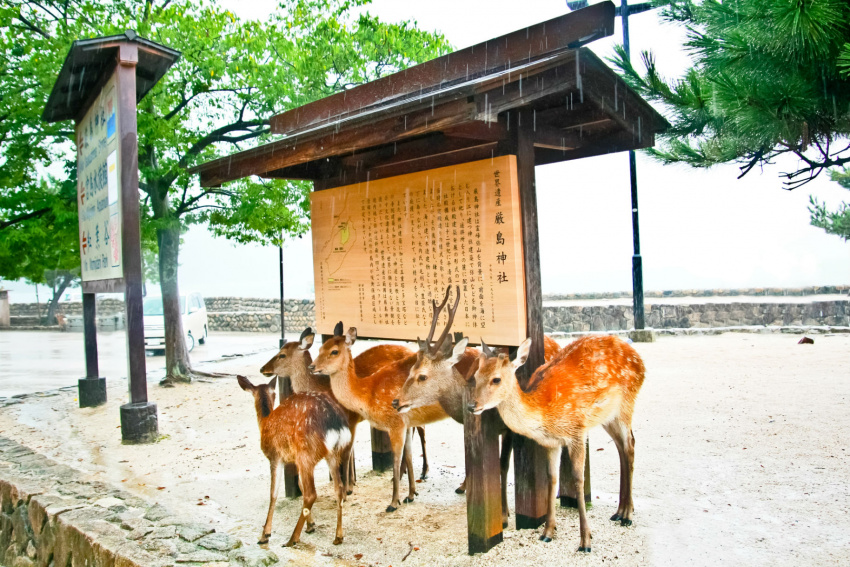 , di sản thế giới, điểm ngắm cảnh, bảo tàng, thủy cung, sở thú, công viên giải trí, đền và điện thờ, onsen (suối nước nóng), điểm du lịch, nhật bản, 30 điểm du lịch hàng đầu tại nhật bản được bình chọn bởi khách du lịch quốc tế