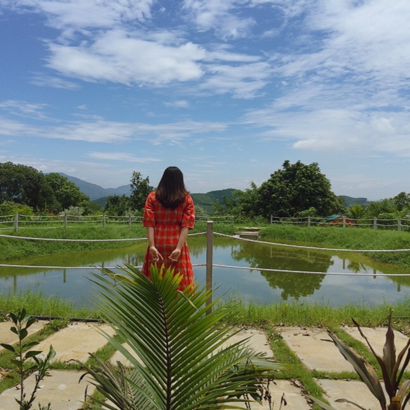 furano garden hòa bình – trọn vẹn hành trình khám phá hòa bình