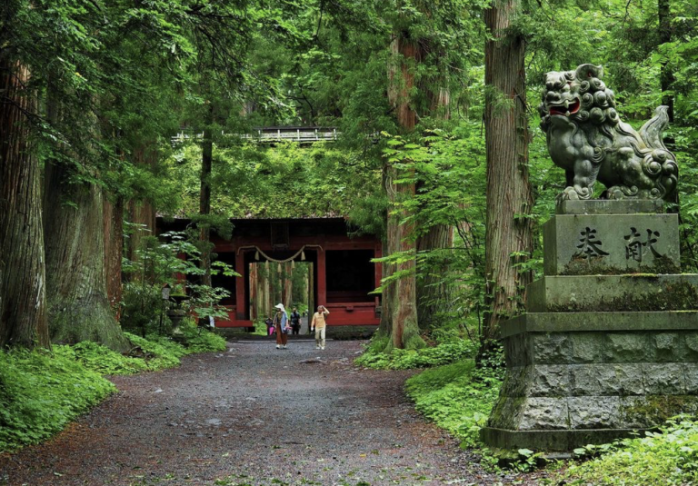 đền, shinto, vẻ đẹp siêu thực của những ngôi đền nhật bản