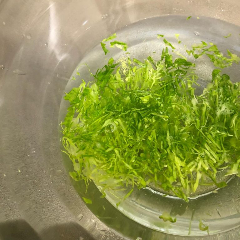 bắp cải, salad, kyoko’s cooking: salad bắp cải trộn