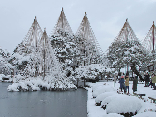 mùa đông, tuyết, yukitsuri – “thần bảo hộ” cây cối khi mùa đông đến