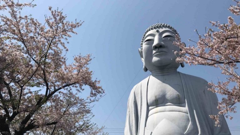 Dù nghiêm túc đến đâu, bạn cũng sẽ bật cười vì thần thái “ngút trời” của pho Tượng Phật cao 18m này