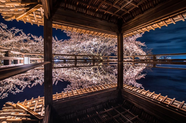 Bí quyết chụp ảnh “phản chiếu” đẹp ngỡ ngàng ở Đền Nhật Bản