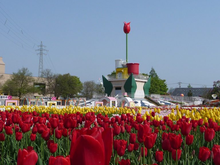 Ai bảo xem hoa Tulip phải đến Hà Lan? – Mùa này, đến ngay Tonami tham gia Đại hội hoa Tulip lớn nhất Nhật Bản