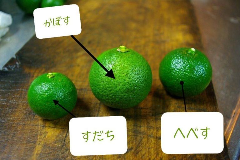[Cảnh báo xoắn não] Thách bạn phân biệt được 9 loại trái cây họ “chua” ở Nhật chỉ qua hình dáng