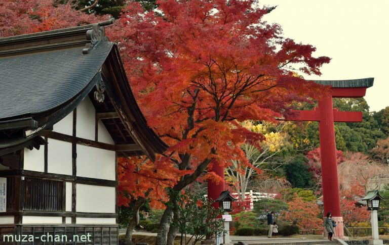 Tham quan ngôi Đền Thần đạo cổ nhất khu vực Tohoku – Đền Muối Shiogama Jinja