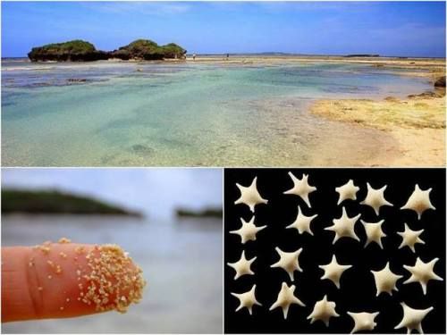 hoshizuna, okinawa, hoshizuna –  bãi biển cát sao của okinawa