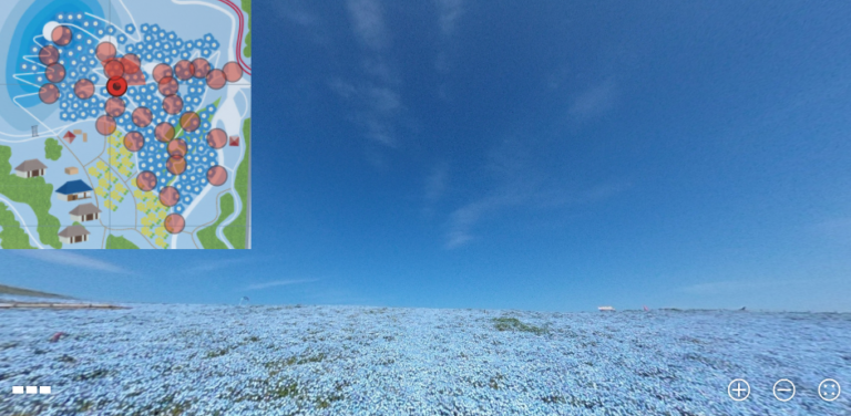 hitachi kaihin kouen, ibaraki, đừng bỏ lỡ dịp ngắm “biển hoa” nemophila ở ibaraki ngay cả khi ngồi ở nhà