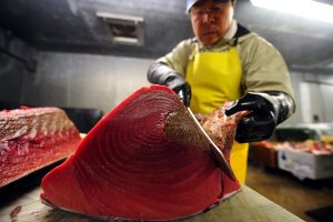 cá ngừ nhật bản – đặc sản có sức ngon khó cưỡng
